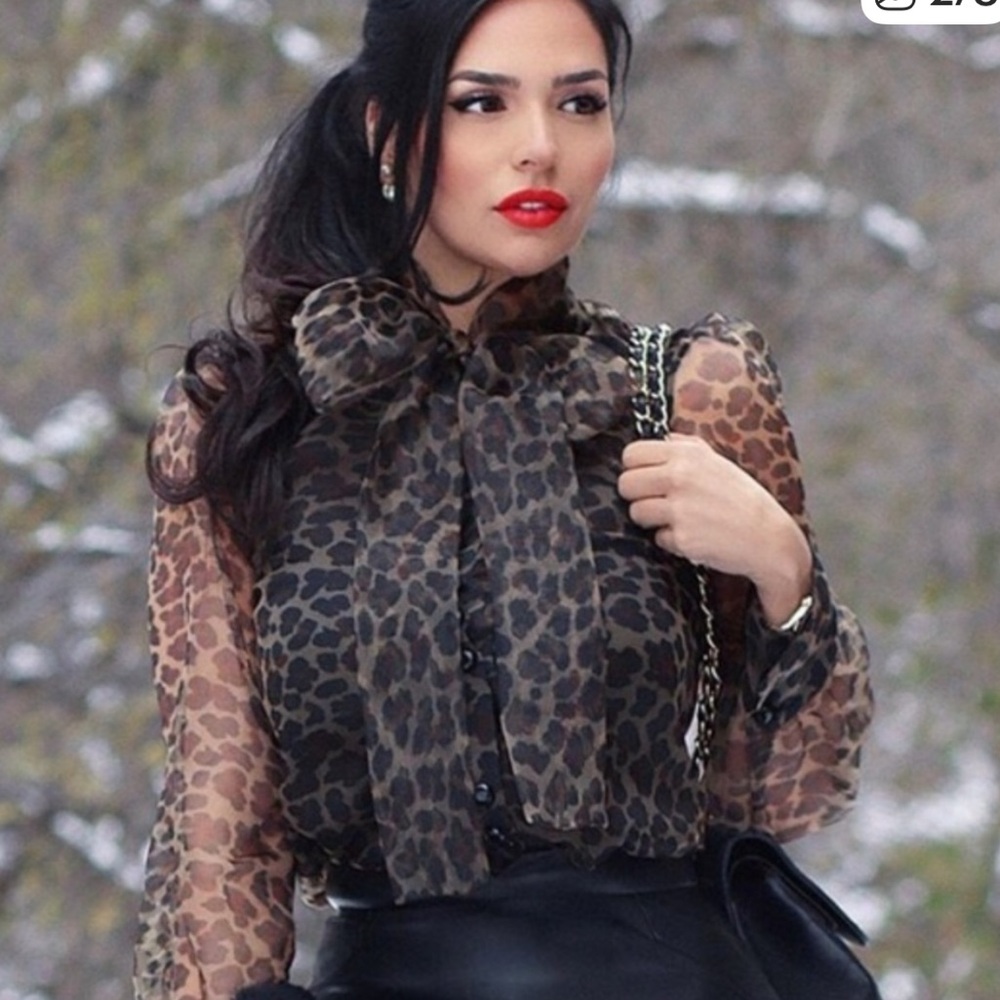 Zara Leopard Print Sheer Blouse